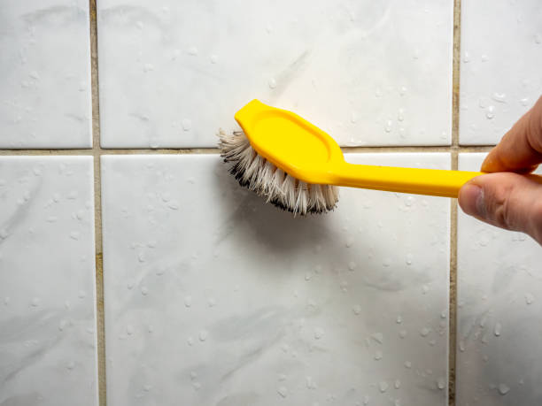 Best Residential Mold Remediation in Apollo Beach, FL